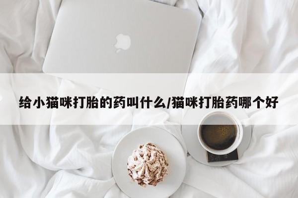 米非司酮哪个网上药店给小猫咪打胎的药叫什么/猫咪打胎药哪个好