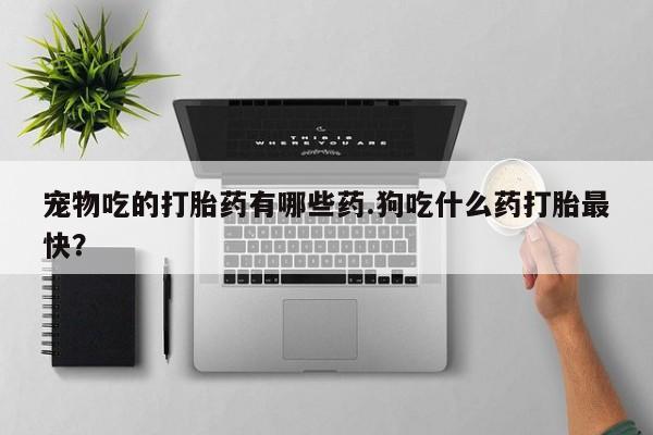 米非司酮哪个网上药店宠物吃的打胎药有哪些药.狗吃什么药打胎最快？